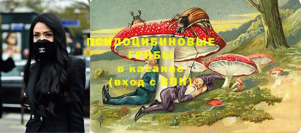 мдпв Магас