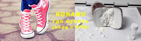 мдпв Магас