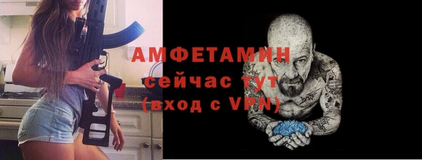 мдпв Магас