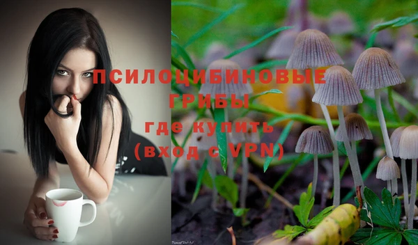 мдпв Магас